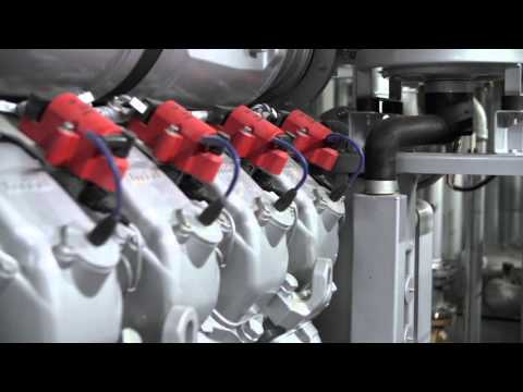 Hochwald Foods Trockenwerk