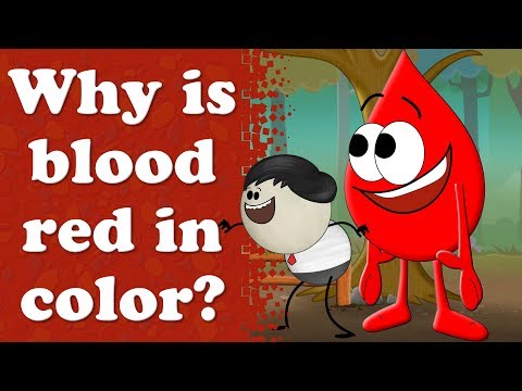 血の色が赤いのはなぜ？| ω・｀）｜#aumsum (Why is blood red in color? | #aumsum)