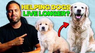 The Hidden Truth Behind Dogs Living Longer