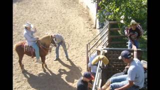 el capo de sonora laberinto