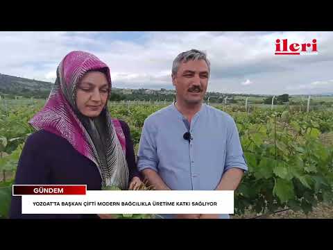 Yozgat’ta başkan çifti modern bağcılıkla üretime katkı sağlıyor | İleri Gazetesi