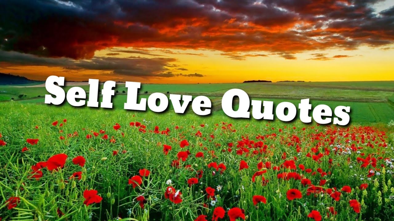 INSPIRATIONAL SELF LOVE QUOTES :That will help you mentally stronger #Quotes