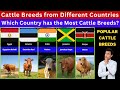 Cattle Breeds From Different Countries Which Country Has The Most Cattle Breeds