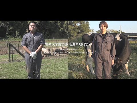 宮崎大学農学部 畜産草地科学科 学生インタビュー