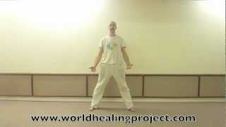 Warrior Sequence - feat Infinite Love