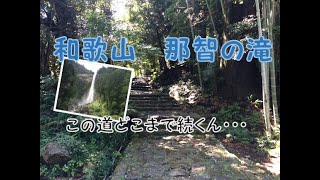 和歌山旅行　避暑地な那智の滝に癒されるために体力を使いまくる#1