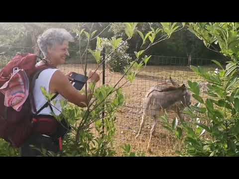 9^ tappa del Cammino della Beata Serafina Micheli 22 giugno 2022