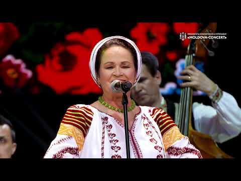 IOANA CAPRARU si LAUTARII ❌ Sârba ca la Nord