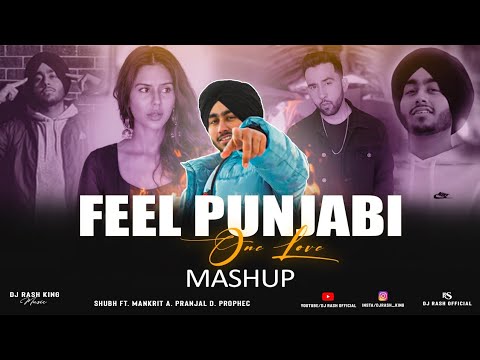 One Love - Feel Punjabi Mashup | Shubh ft. Sonam Bajwa | Dj Rash King | Insane.