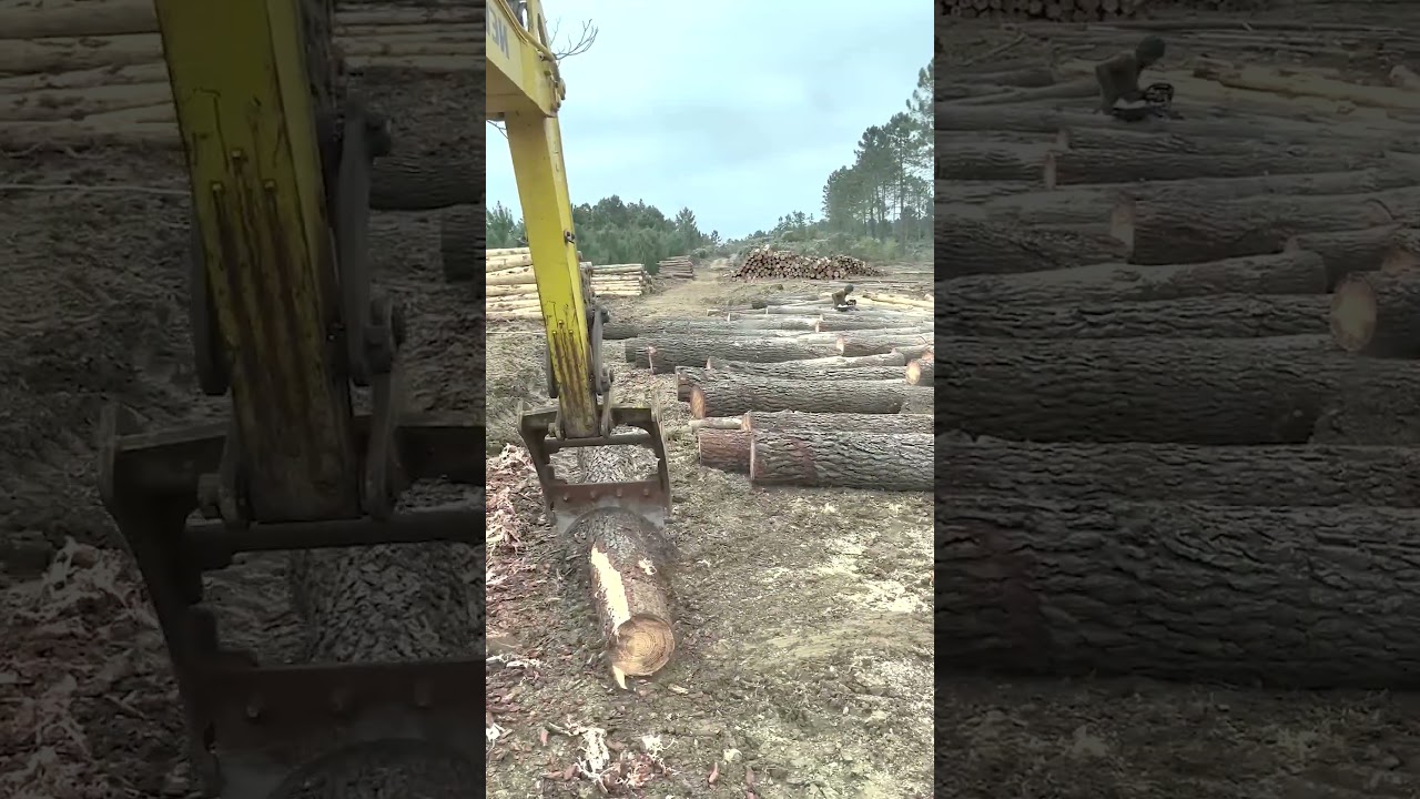 Log Debarking at the Logging Site: Fast and Efficient with an Excavator