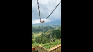 Download lagu Swing in Bali | Nature | Nature WhatsApp Status | The Nature Diary #shorts mp3 Download lagu Swing in Bali | Nature | Nature WhatsApp Status | The Nature Diary #shorts mp3
