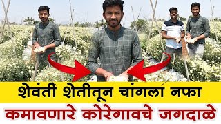 शेवंती शेतीतून मिळाले चांगले पैसे  | शेवंती शेती संपूर्ण माहिती | Shevanti farming