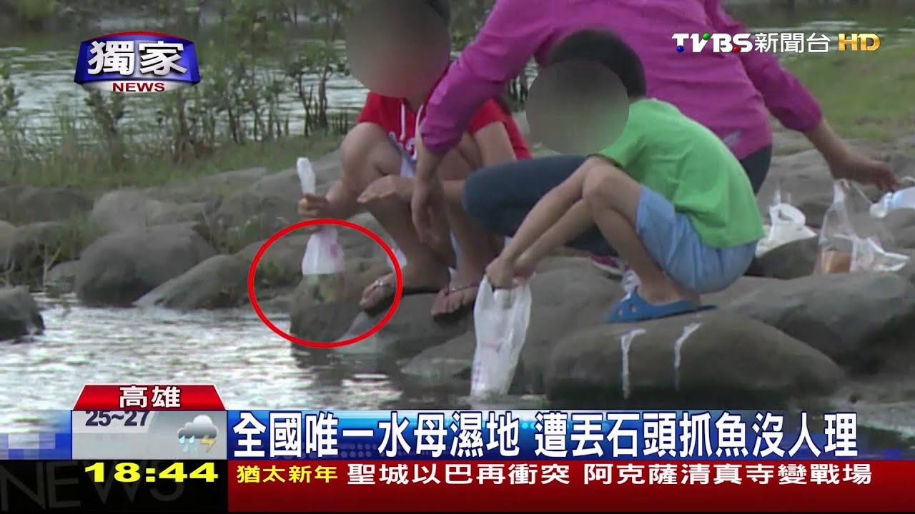 惡搞！全國唯一水母濕地　慘遭丟石頭抓魚