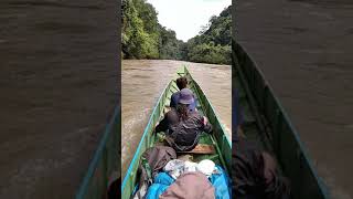 Download lagu turun dari desa long berang ke malinau mengunakan perahu ketinting mp3 Download lagu turun dari desa long berang ke malinau mengunakan perahu ketinting mp3