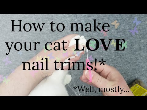 How to trim your cat's nails! Helpful tips and suggestions