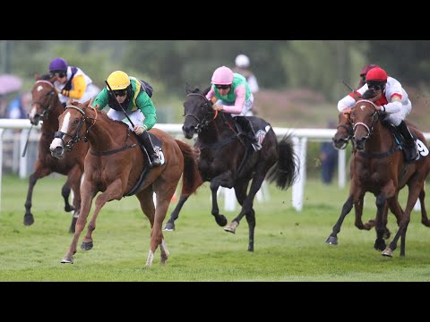 Hamburg-Horn: Brümmerhofer Stuten-Meile 2023 Siegerin: Muskoka