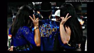 Ariel Camacho - Las diferencias [En Vivo]