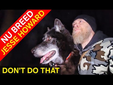 Don't Do That - Nu Breed & Jesse Howard (feat. Trainwreck Kenny)