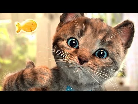 CUTE LITTLE KITTEN ADVENTURE - FUNNY KITTY & FRIENDS ADVENTUROUS JOURNEY CARTOON VIDEO #915