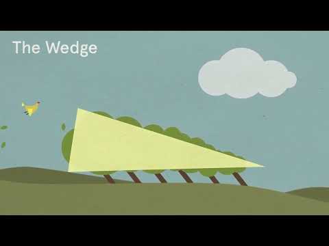 Arbor Day—How to Read a Tree by Tristan Gooley