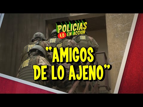 POLICE IN ACTION 4.0 - "FRIENDS OF OTHERS' PROPERTY"