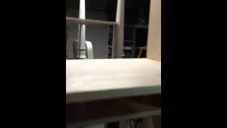 eyes wide shut compartment bookcase