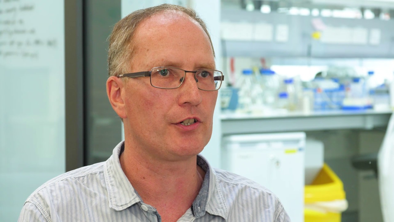 Research led teaching in Natural Sciences