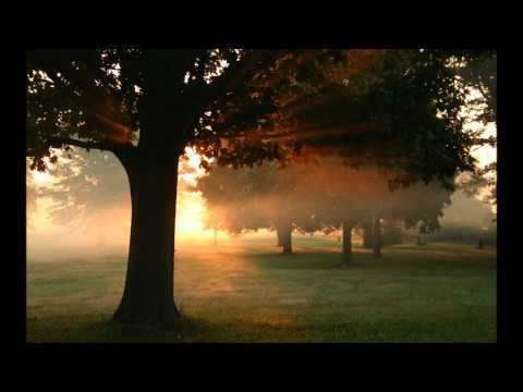 Paul van Dyk feat. Plumb - I Don't Deserve You (Giuseppe Ottaviani Remix)