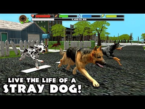 Stray Dog Simulator, By Gluten Free Games - YouTube