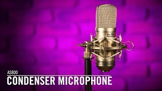 Condenser Microphone | AS800