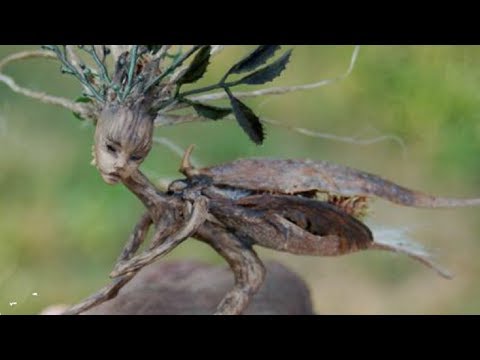 5 Real Fairies Caught on Camera Video