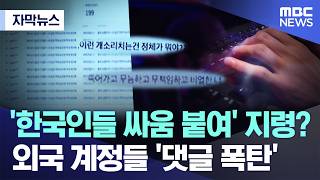 [자막뉴스] '한국인들 싸움 붙여' 지령?..외국 계정들 '댓글 폭탄' (대전MBC 뉴스)