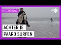 HORSE BOARDING | Extreme Animal Hobby's Beestieboys | NPO Zapp