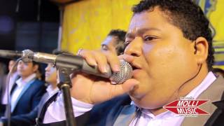 Video Te Alejas de Armonía 10