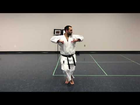 Hidden Fortress Karate - Tekki Nidan kata, mirror image