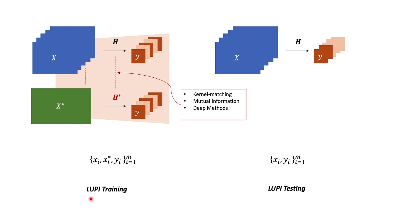 Retaining Privileged Information for Multi-task Learning.