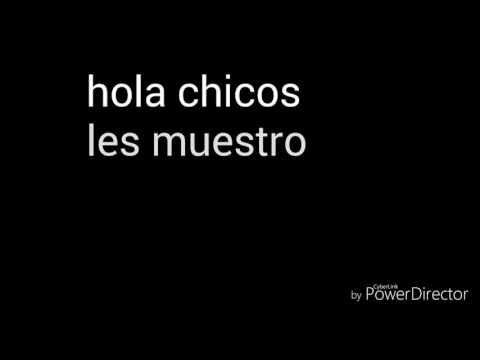 10 perros que debes tener