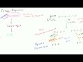 Glycolysis Introduction Video Tutorial