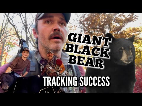 Found GIANT BEAR 😳 Public Land | Blood Tracking
