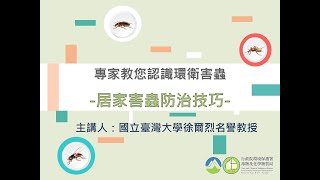 居家害蟲防治技巧