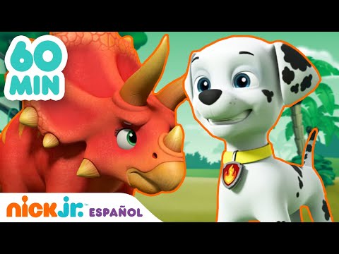 Paw Patrol, Patrulla de cachorros | 60 MIN del nuevo Paw Patrol | Nickelodeon