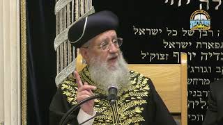 בחורי ישיבות ואברכים באמירת סליחות I מרן הראשון לציון הגאון רבי דוד יוסף שליט"א #סליחות #אלול (מוסדות יחווה דעת) - התמונה מוצגת ישירות מתוך אתר האינטרנט יוטיוב. זכויות היוצרים בתמונה שייכות ליוצרה. קישור קרדיט למקור התוכן נמצא בתוך דף הסרטון