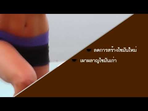 ยาโป๊ที่ดีที่สุด Exciter ซื้อบ้าน