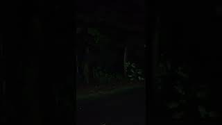 Download lagu apparition #viral #mystery #horror mp3