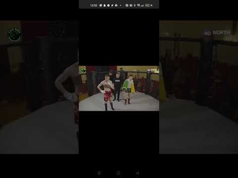 mounted triangle finish mma ⚡.