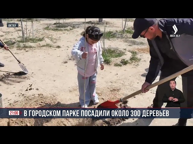 В городском парке посадили около 300 деревьев