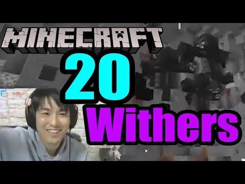 [Minecraft] vs 20 Withers!! INSANE BATTLE! with @SidePotatoMan