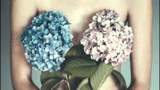 Silvio Rodriguez - Flores nocturnas