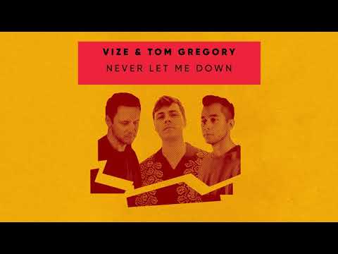 VIZE & Tom Gregory - Never Let Me Down (Visualizer) [Ultra Music]