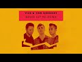 VIZE Tom Gregory Never Let Me Down Visualizer Ultra Music